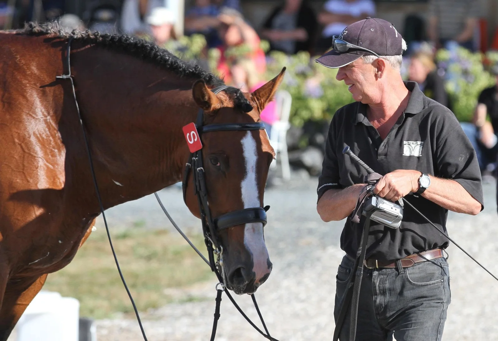 Bill Noble smiling at a plaited bay horse ringside