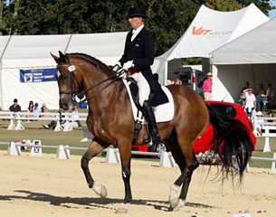 Bill Noble — Grand Prix trainer, NZ Hall of Fame
