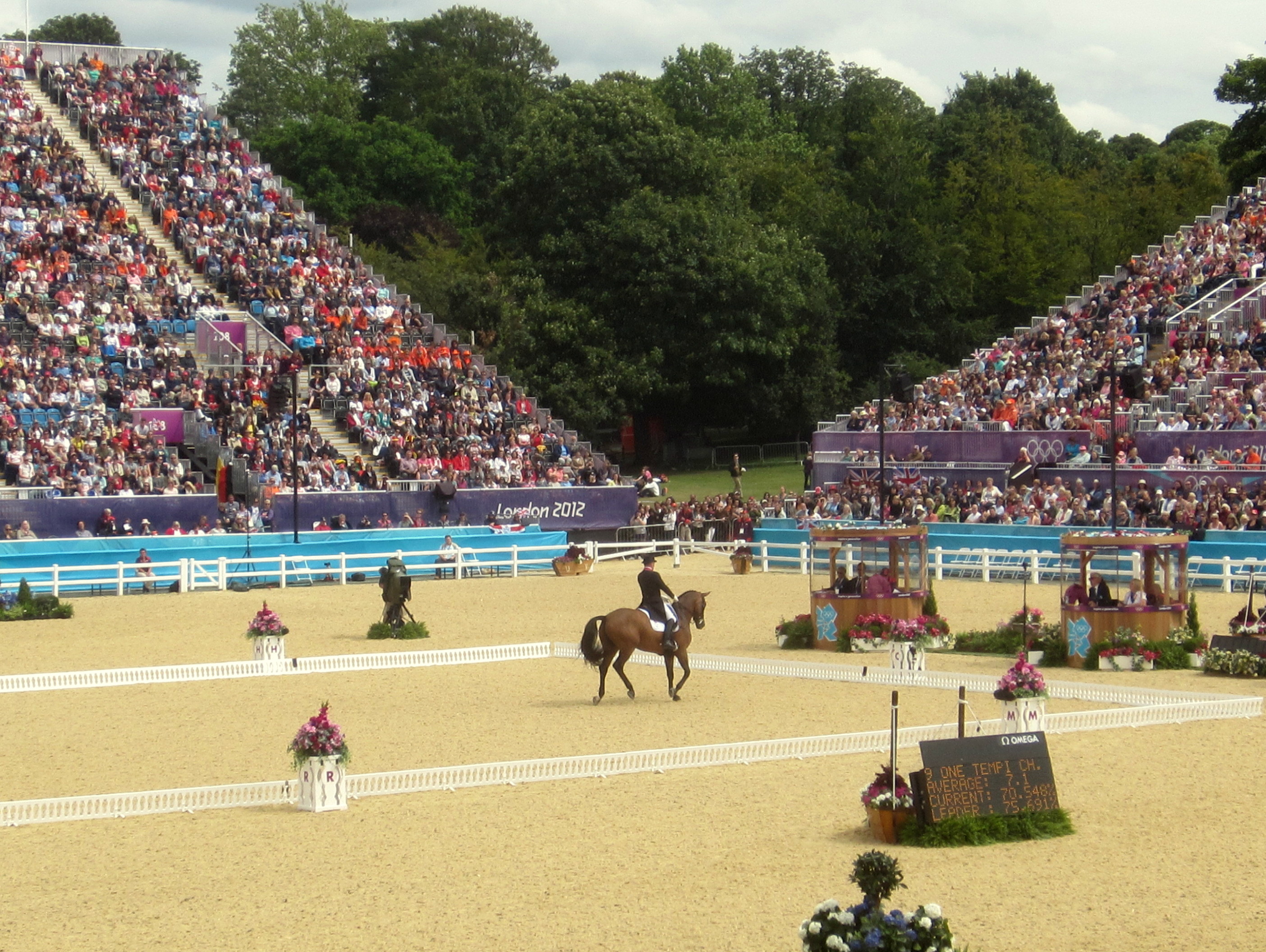 Dressage rider in the arena at the London 2012 Olympics in front of a packed crowd